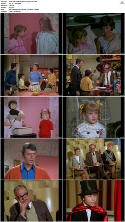 The Brady Bunch S02 DVDRip x264-NGP