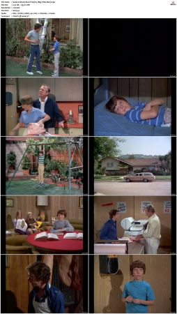 The Brady Bunch S03 DVDRip x264-NGP