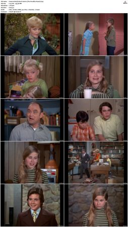 The Brady Bunch S01 DVDRip x264-NGP