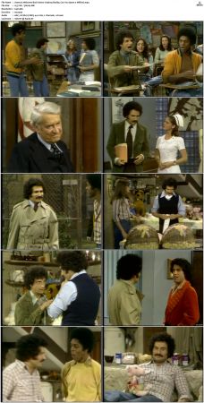 Welcome Back Kotter S03 DVDRip x264-NGP