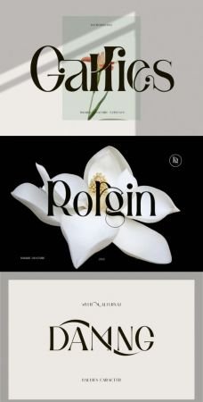 CF - Gallies Font 17216826