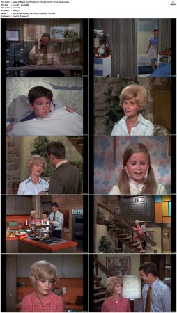 The Brady Bunch S01 DVDRip x264-NGP