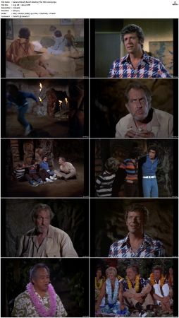 The Brady Bunch S04 DVDRip x264-NGP