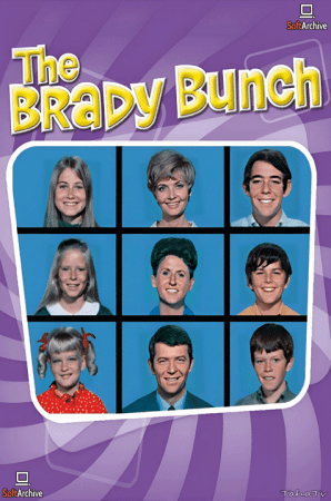 The Brady Bunch S03 DVDRip x264-NGP