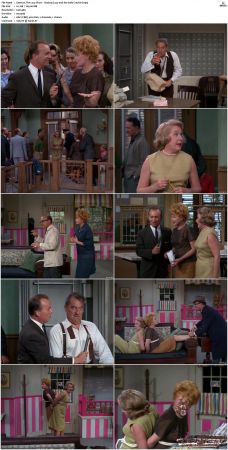 The Lucy Show S02 DVDRip x264-NGP