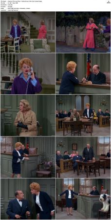 The Lucy Show S02 DVDRip x264-NGP