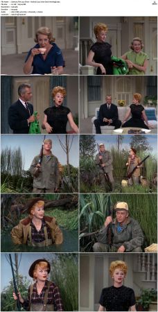 The Lucy Show S02 DVDRip x264-NGP