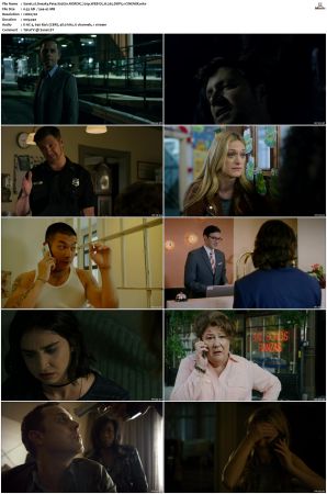 Sneaky Pete S02 NORDiC 720p WEB-DL H 265 DDP5 1-CiNEMiX