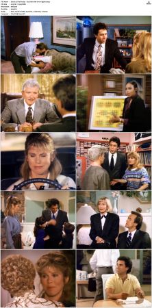 The Bradys S01 DVDRip x264-NGP