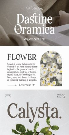 CM - Dastine Oramica - Organic Serif 91993397