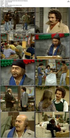 Welcome Back Kotter S02 DVDRip x264-NGP