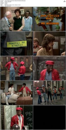 Welcome Back Kotter S04 DVDRip x264-NGP