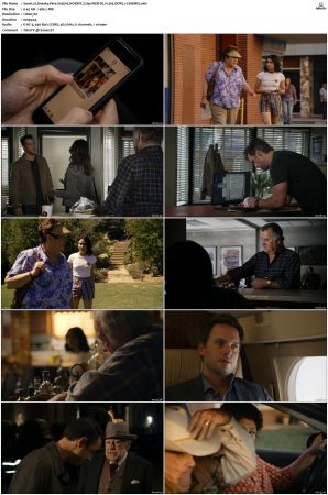 Sneaky Pete S03 NORDiC 720p WEB-DL H 265 DDP5 1-CiNEMiX