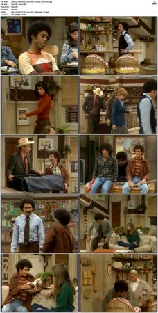 Welcome Back Kotter S03 DVDRip x264-NGP