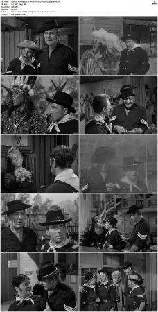 F-Troop S01 DVDRip XviD-cOOt