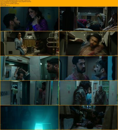 Kill 2024 1080p AMZN WEB-DL DDP5.1 H264-XEBEC