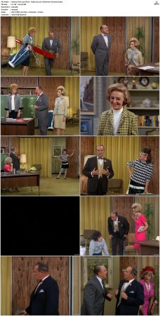 The Lucy Show S05 DVDRip x264-NGP