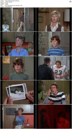 The Brady Bunch S03 DVDRip x264-NGP