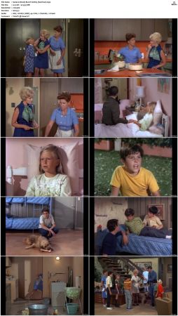 The Brady Bunch S01 DVDRip x264-NGP