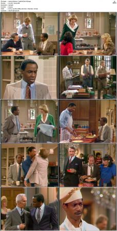Benson S04 DVDRip x264-NGP