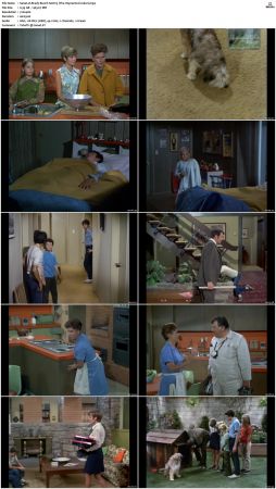 The Brady Bunch S02 DVDRip x264-NGP