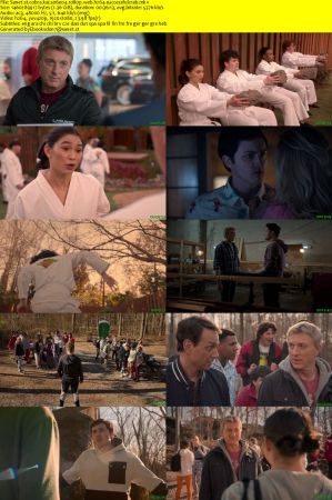 Cobra Kai S06 Part 1 1080p WEB H264-SuccessfulCrab