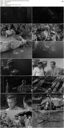 Creature from the Black Lagoon 1954 1080p Bluray DTS x264-GCJM