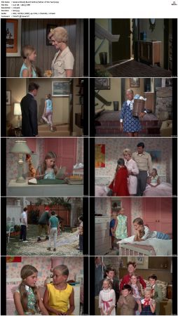 The Brady Bunch S01 DVDRip x264-NGP