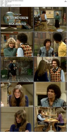 Welcome Back Kotter S03 DVDRip x264-NGP