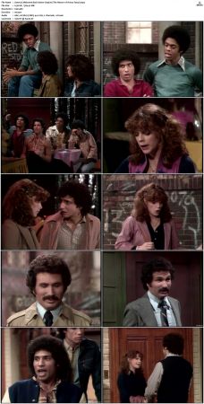 Welcome Back Kotter S03 DVDRip x264-NGP