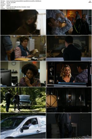 Sneaky Pete S01 NORDiC 720p WEB-DL H 265 DDP5.1-CiNEMiX