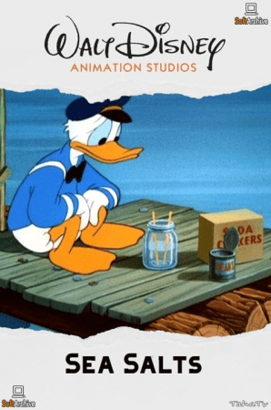 Sea Salts 1949 DVDRip x264-HANDJOB