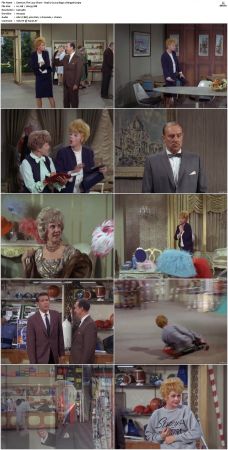 The Lucy Show S04 DVDRip MPEG-NGP