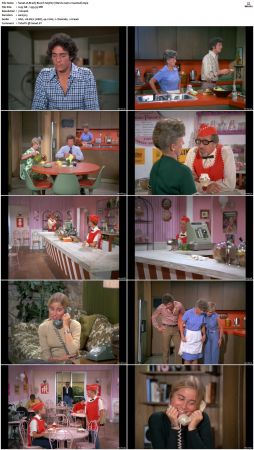 The Brady Bunch S05 DVDRip x264-NGP