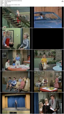The Brady Bunch S03 DVDRip x264-NGP