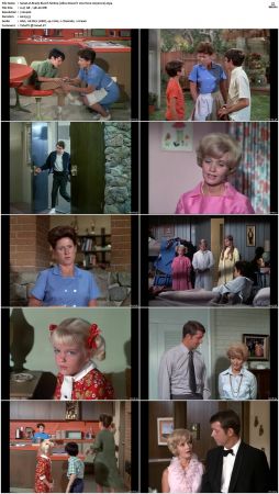 The Brady Bunch S01 DVDRip x264-NGP