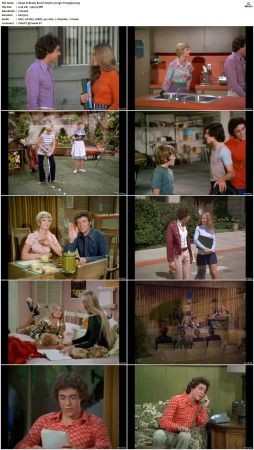 The Brady Bunch S04 DVDRip x264-NGP