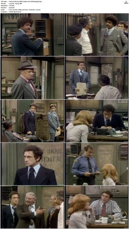 Barney Miller S05 DVDRip x264-NGP