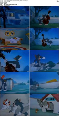 Solid Serenade 1946 1080p AI UPSCALE HEVC 10Bit AAC 2.0 H265-R&amp;H