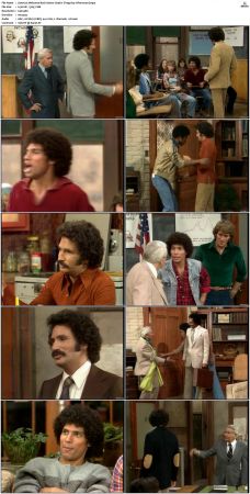 Welcome Back Kotter S04 DVDRip x264-NGP