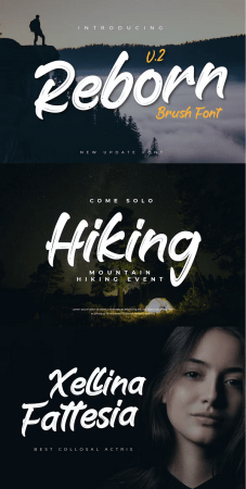 EE - Reborn - Brush Handwritten Font EA526BN