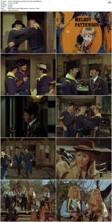 F-Troop S02 DVDRip XviD-cOOt