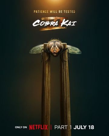 Cobra Kai S06 Part 1 1080p WEB HEVC x265-RMT