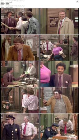 Barney Miller S08 DVDRip x264-NGP