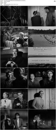 Kiss The Blood Off My Hands 1948 1080p BluRay HEVC x265-SUP3R