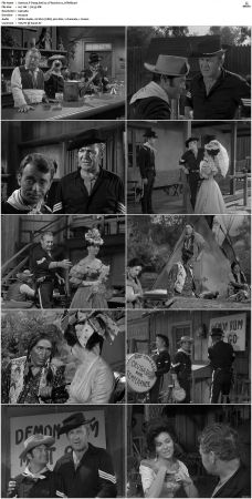 F-Troop S01 DVDRip XviD-cOOt