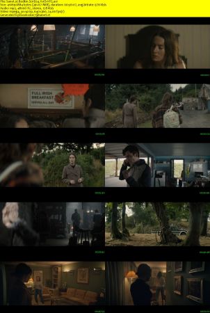 Bodkin S01 XviD-AFG