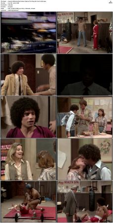Welcome Back Kotter S04 DVDRip x264-NGP