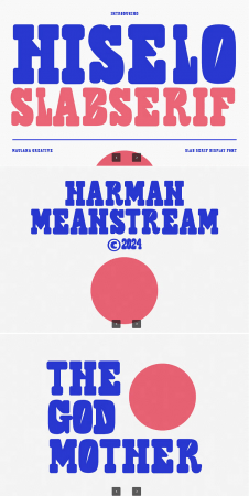 EE - Hiselo Slab Serif Display Font 2WLMJ4T
