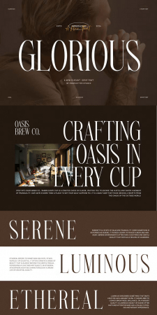 EE - Glorious Elegant Serif Font Typeface AVV6DAT